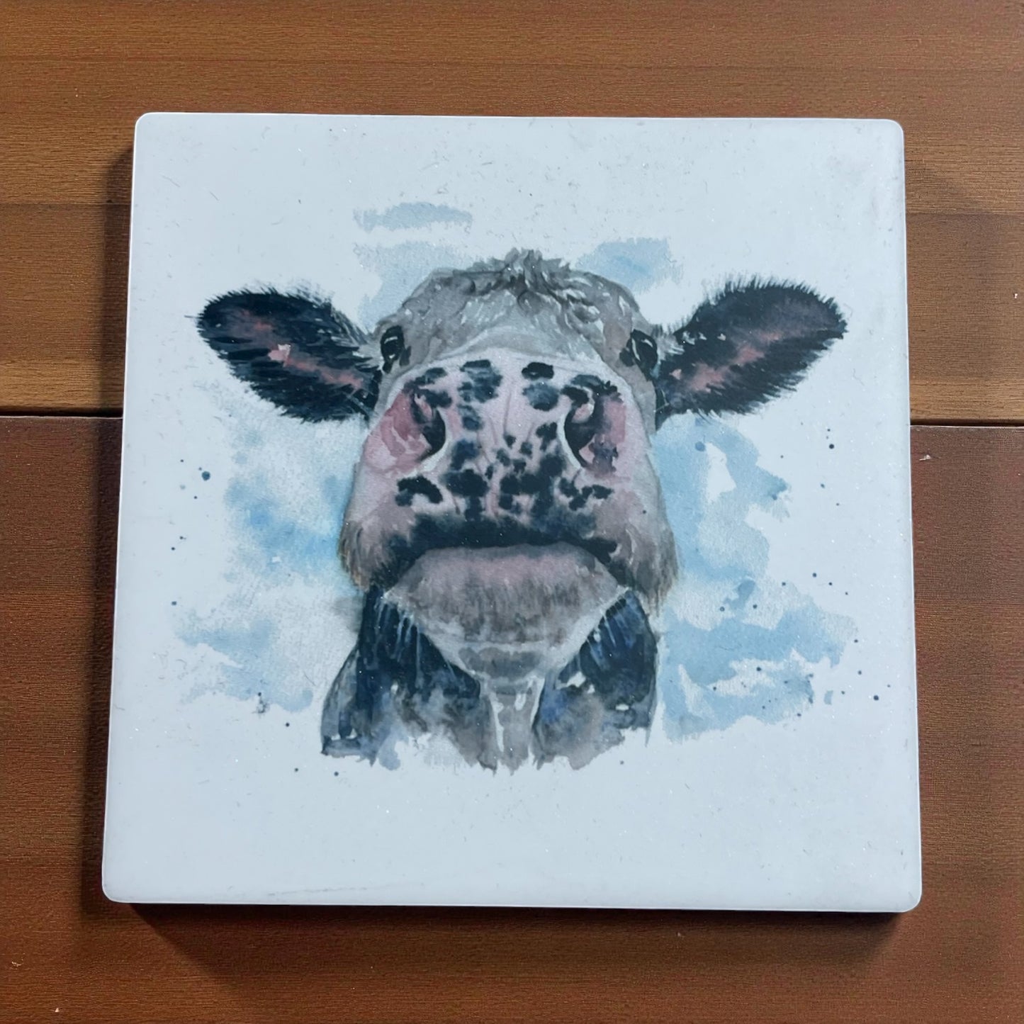 Sandstone Coasters One Off Sale