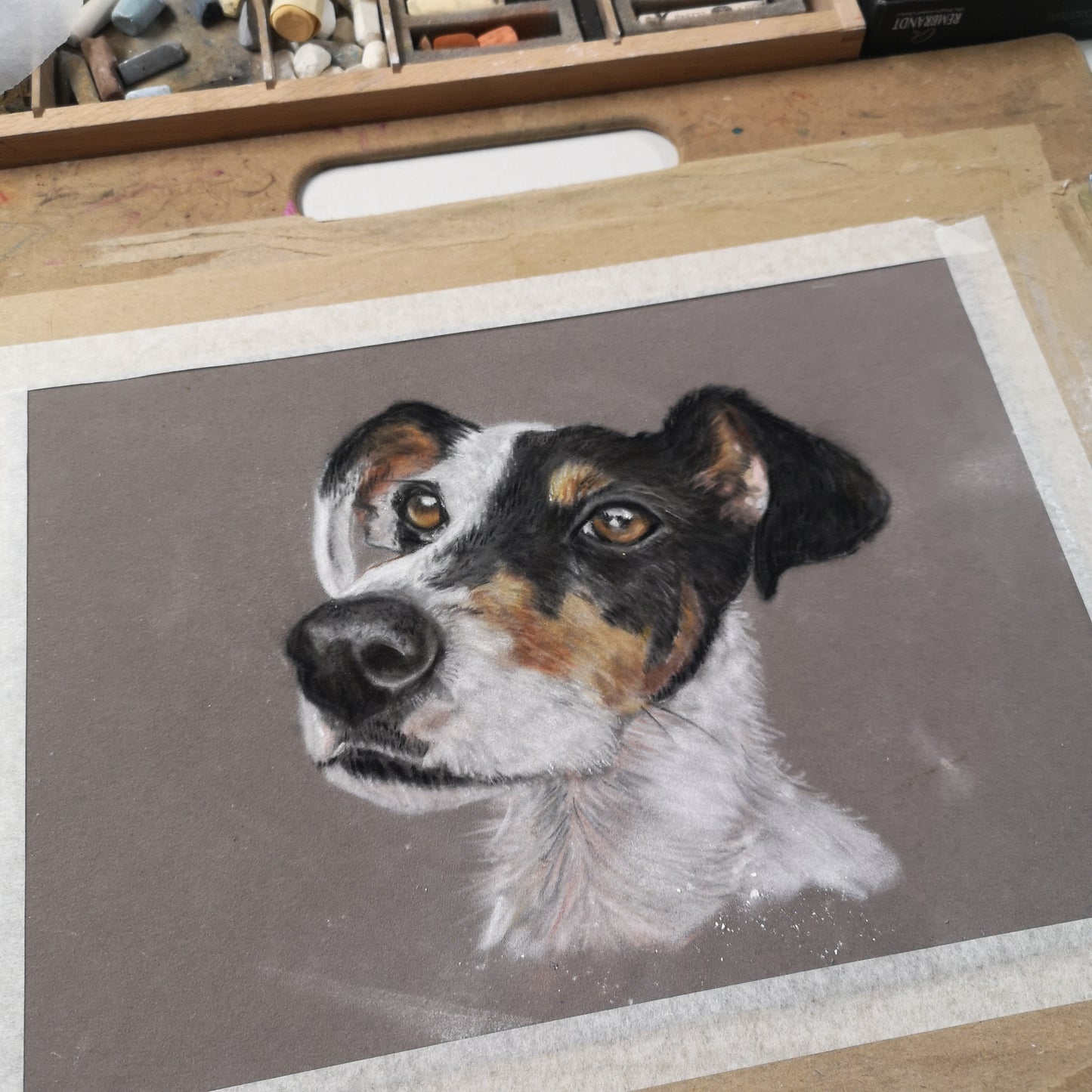 Pet Portrait