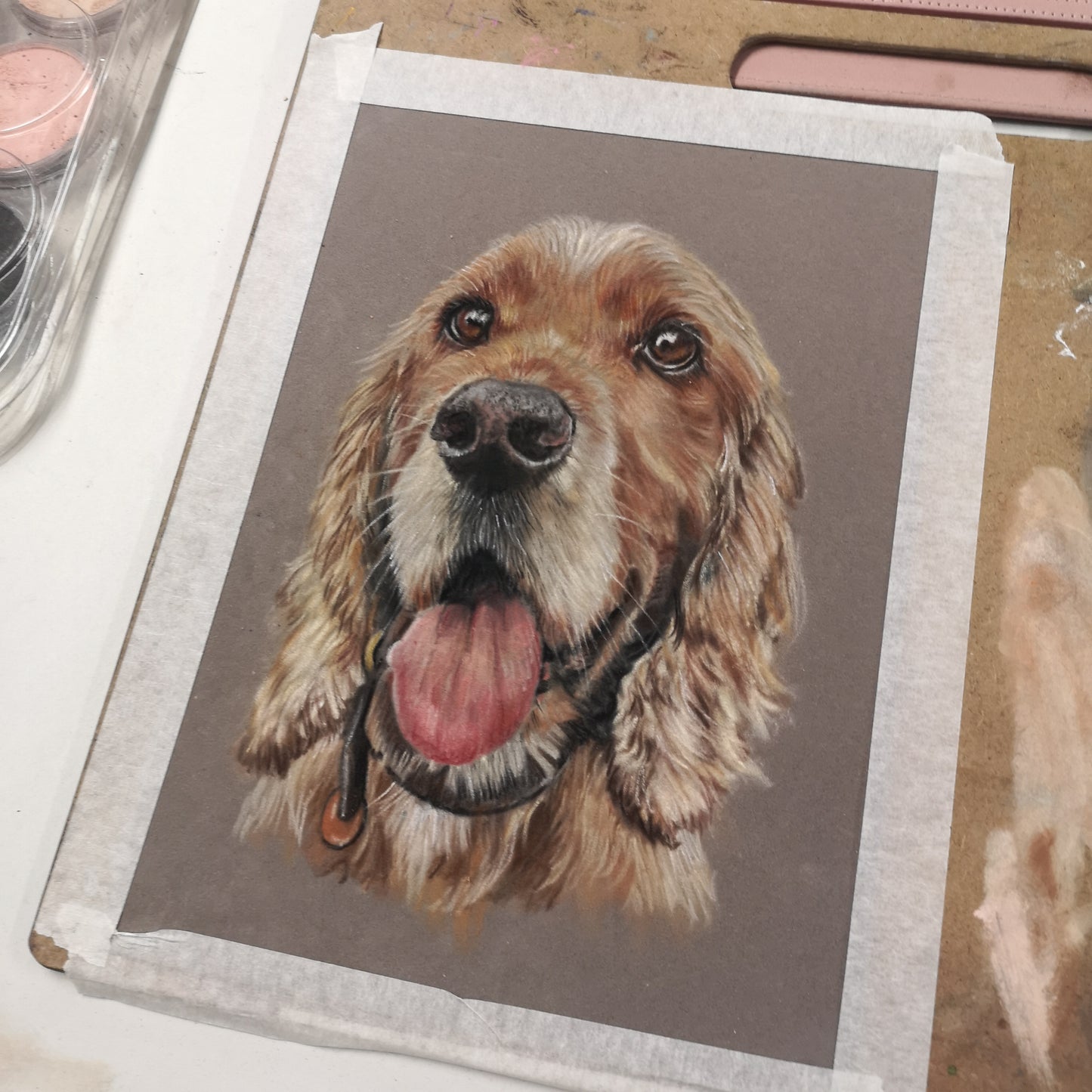 Pet Portrait