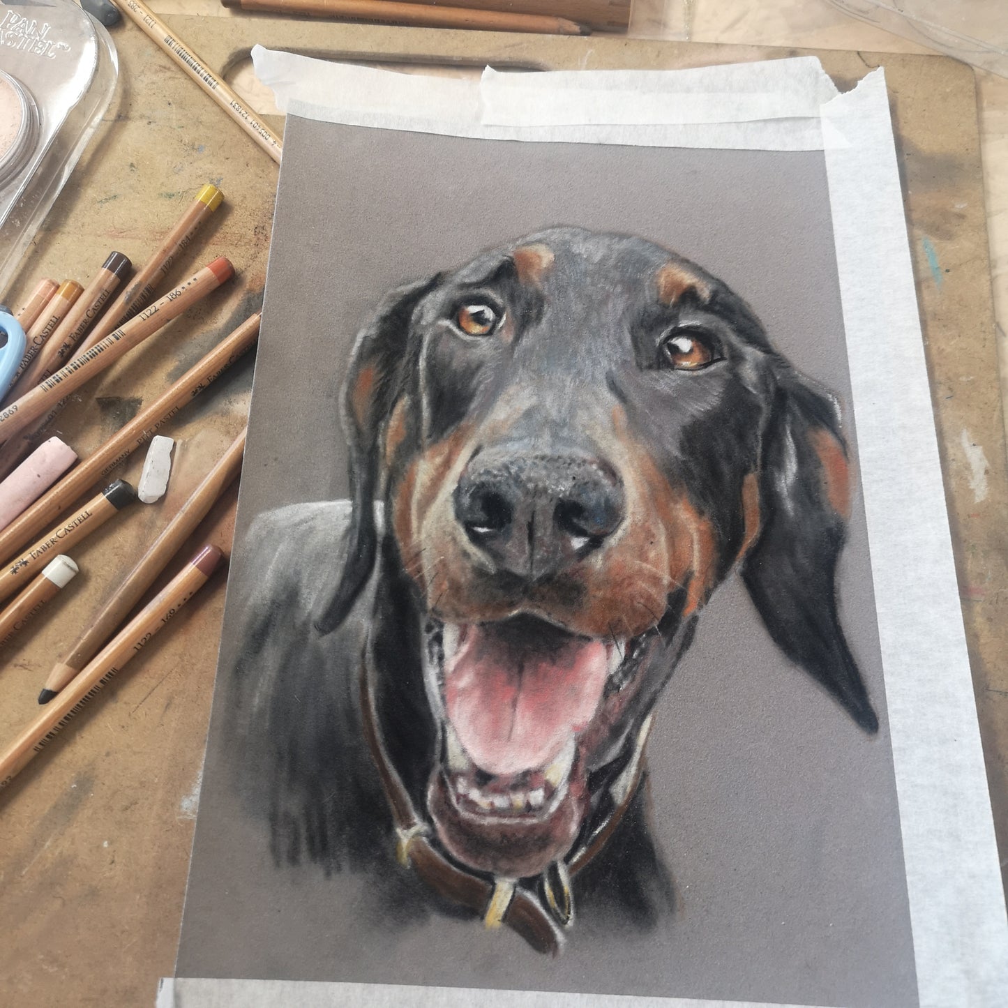 Pet Portrait