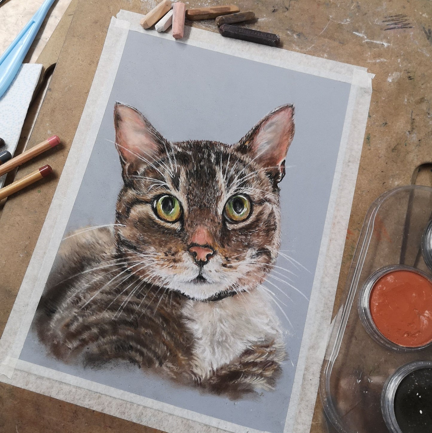 Pet Portrait
