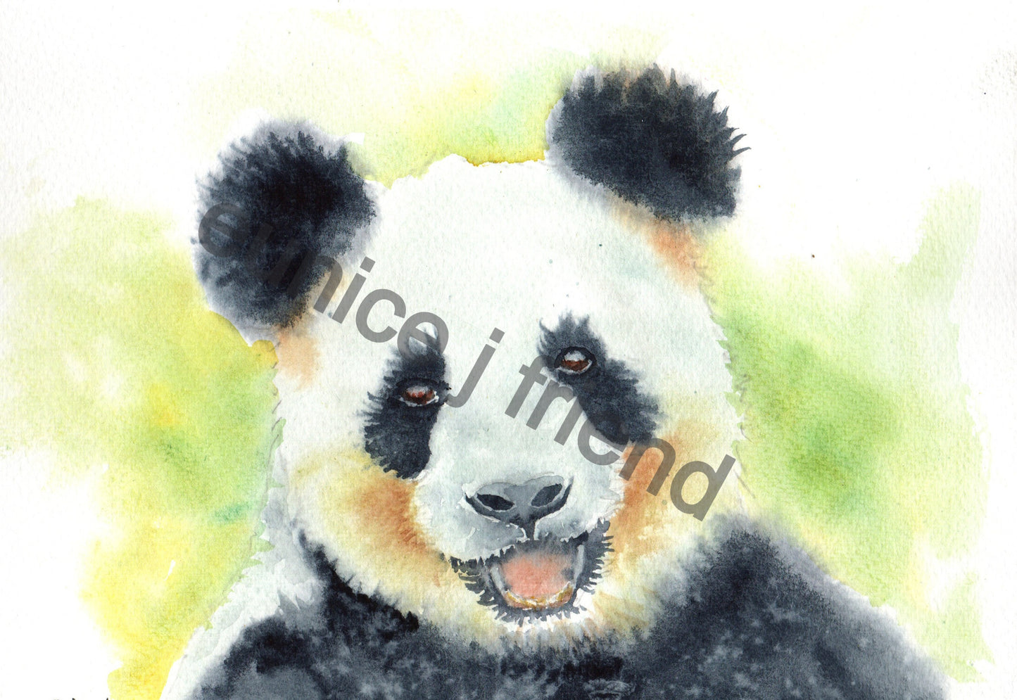 Buttercup Panda - Copy_edited.jpg