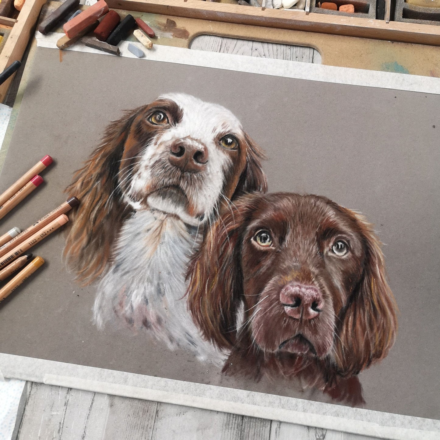 Pet Portrait