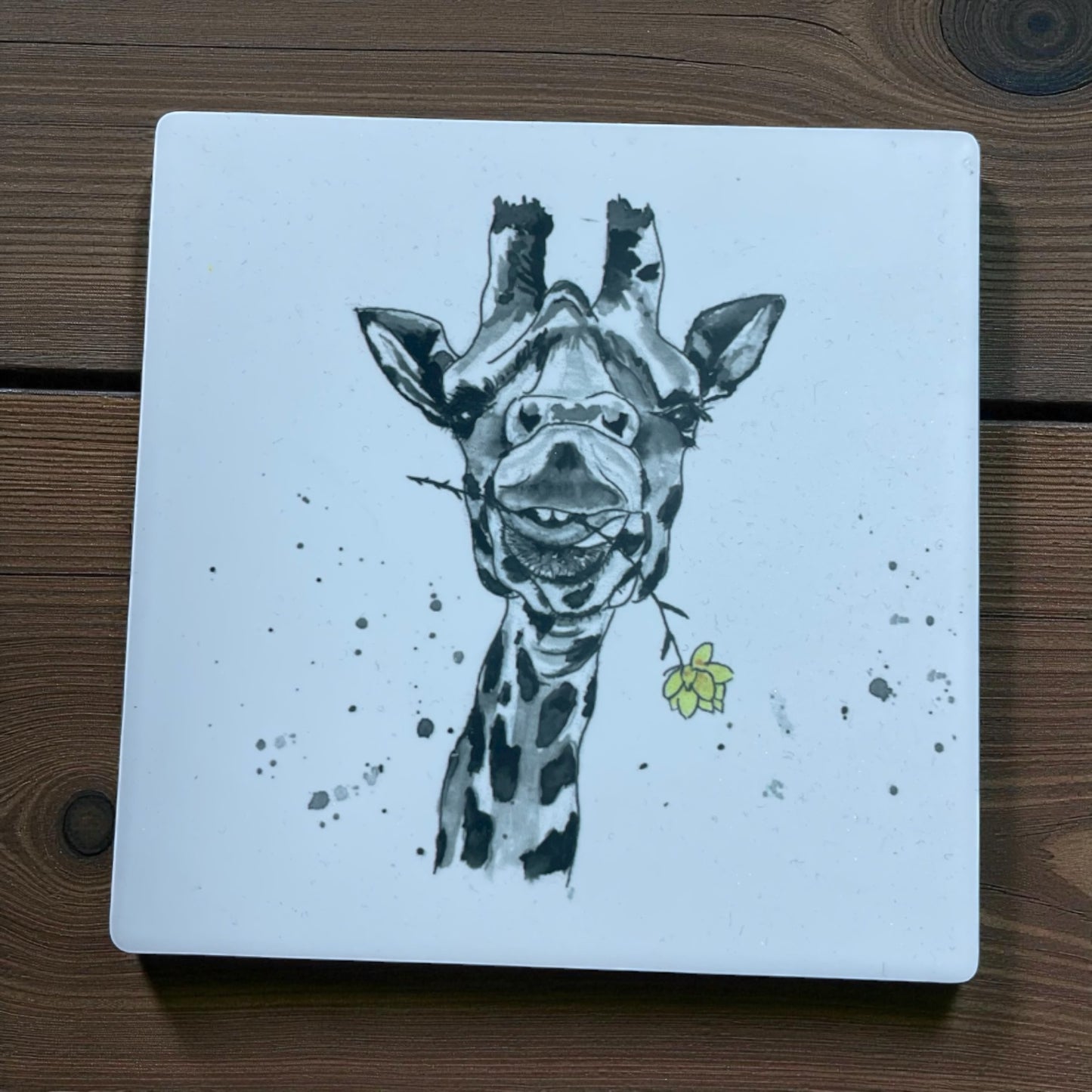 Sandstone Coasters One Off Sale