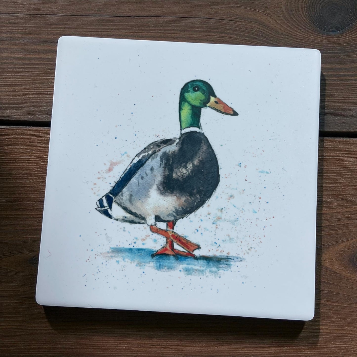 Sandstone Coasters One Off Sale