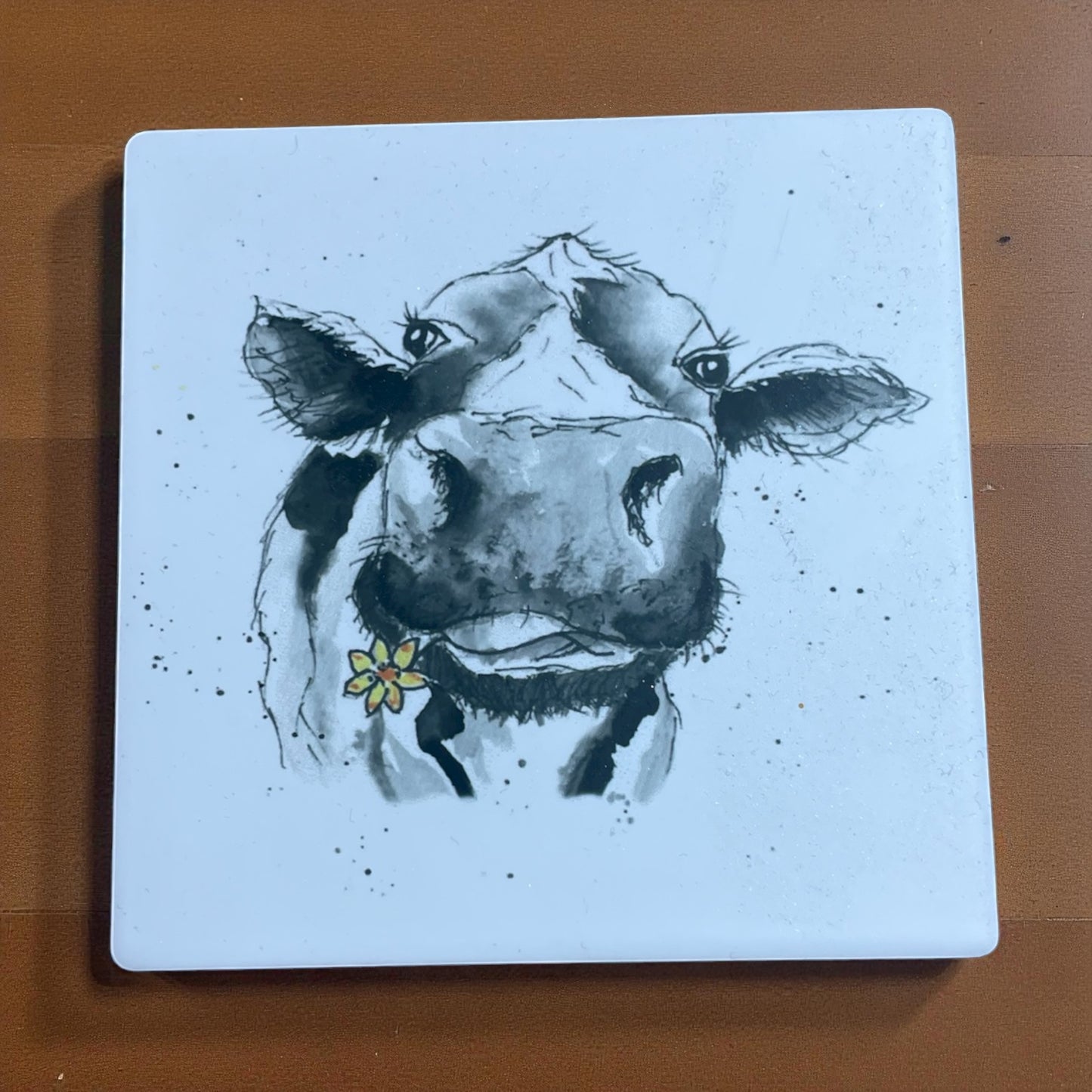 Sandstone Coasters One Off Sale