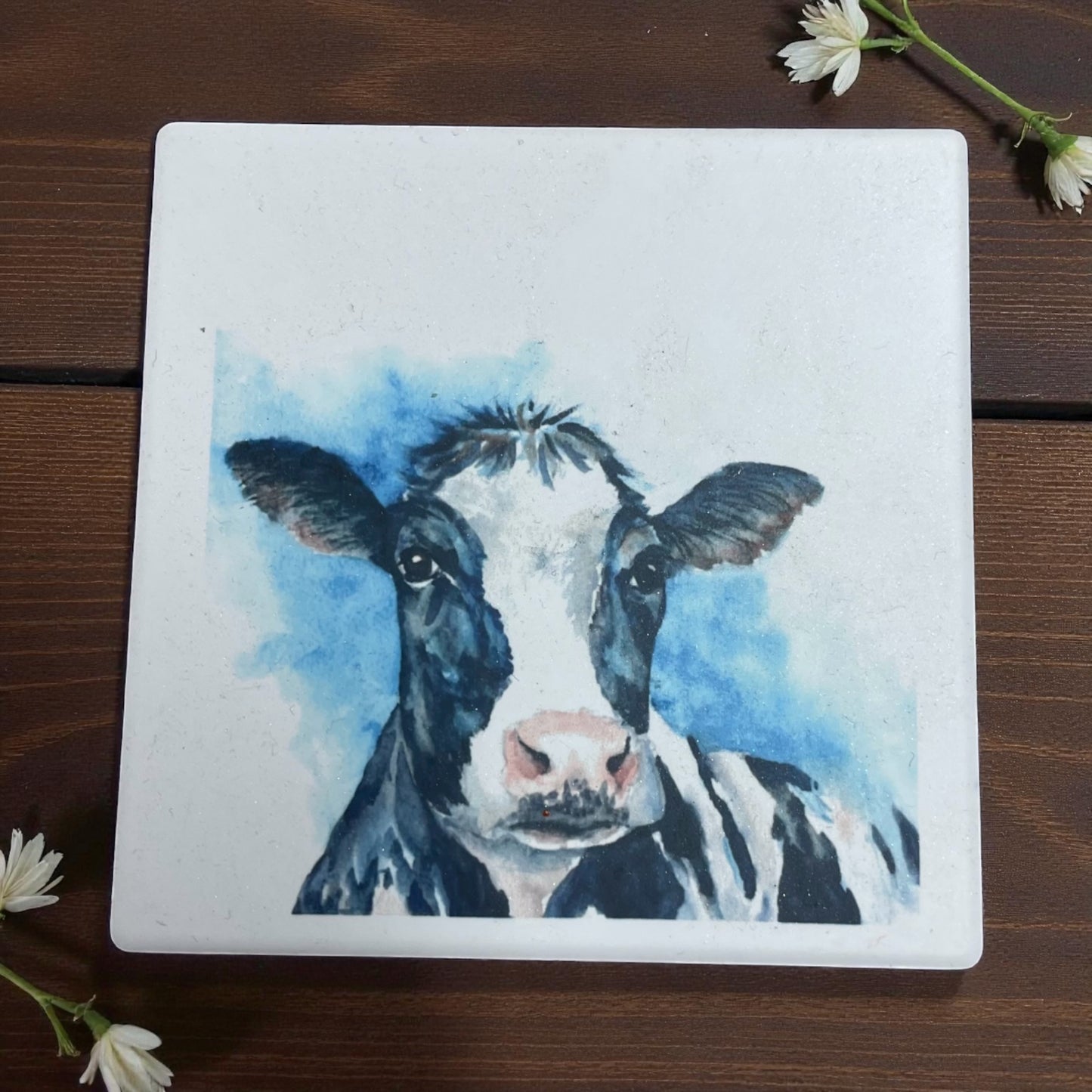 Sandstone Coasters One Off Sale