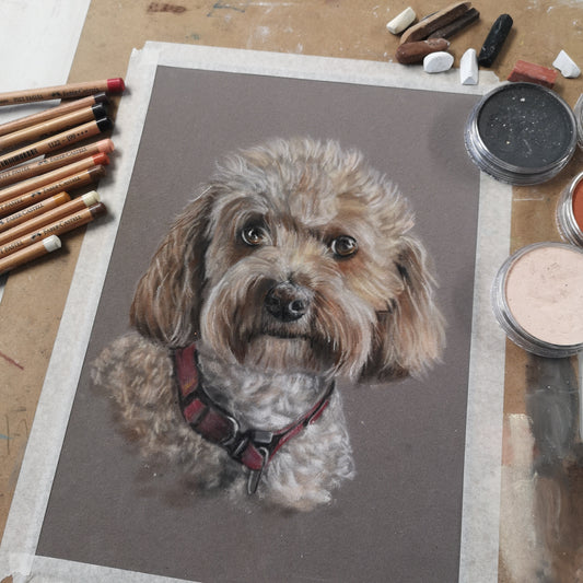 Pet Portrait