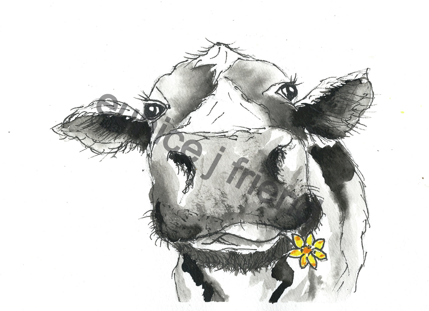 camilla cow ink_edited.jpg